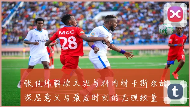 张佳玮解读文班与科内特卡斯尔的深层意义与最后时刻的无理较量