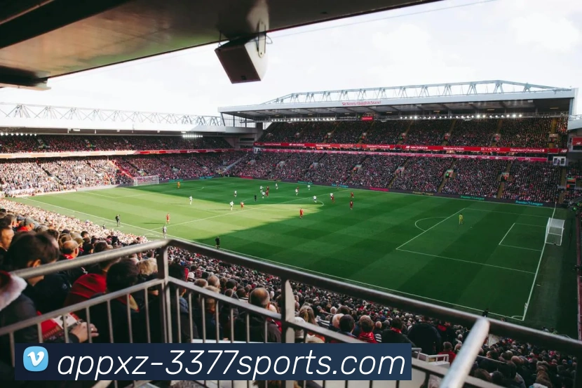 3377体育发展历程